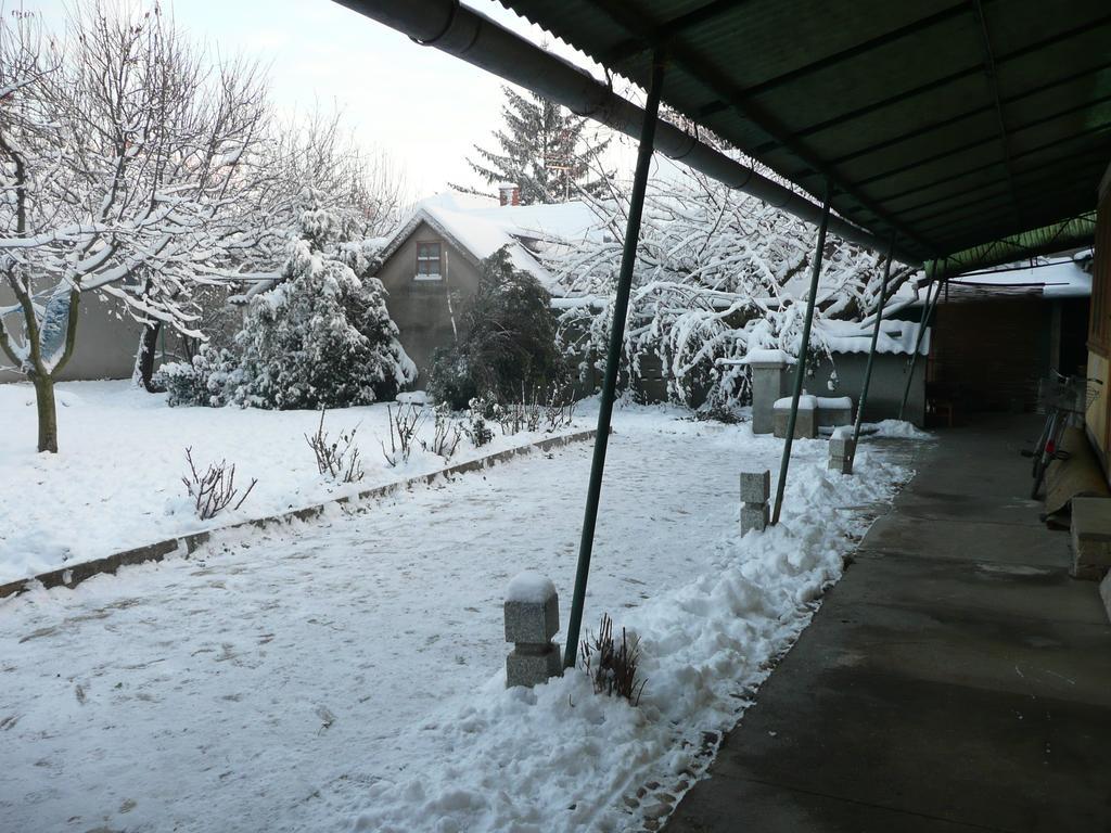 Guest House Tisza Haz Senta ภายนอก รูปภาพ