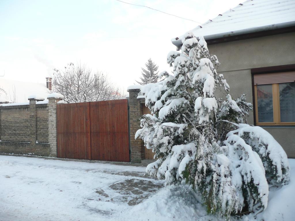Guest House Tisza Haz Senta ภายนอก รูปภาพ