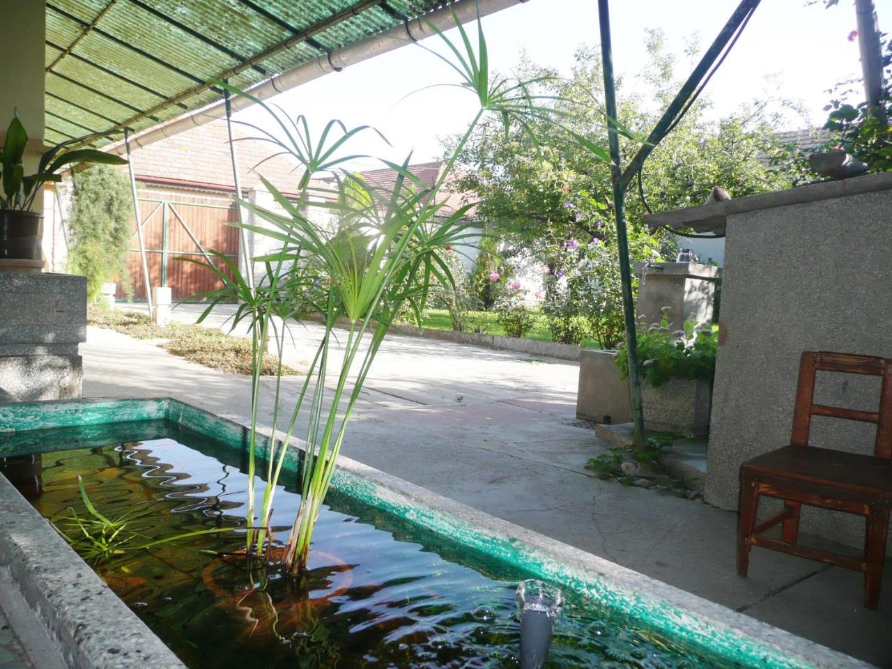 Guest House Tisza Haz Senta ภายนอก รูปภาพ